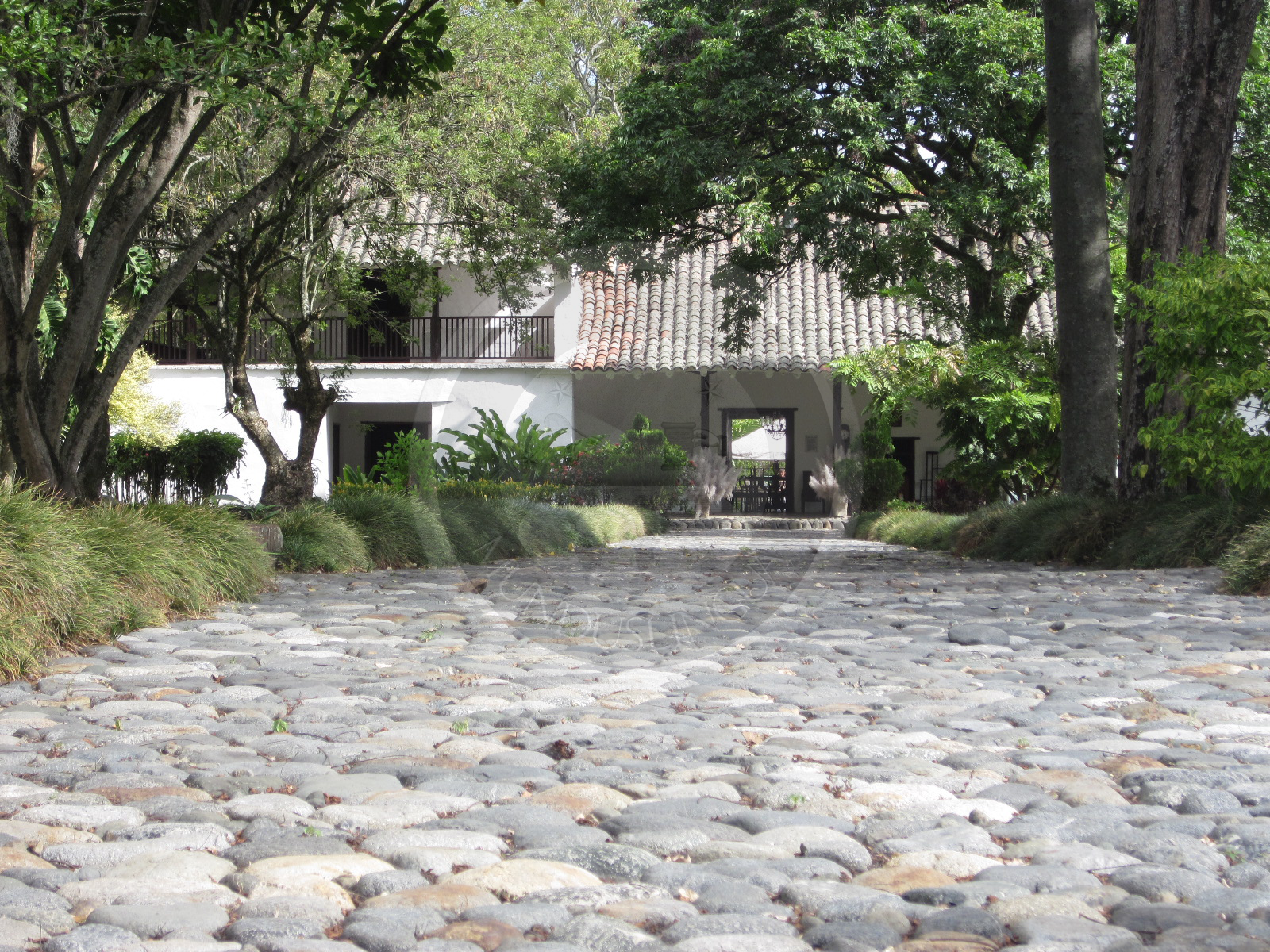 Main Entrance Hacienda Piedechinche