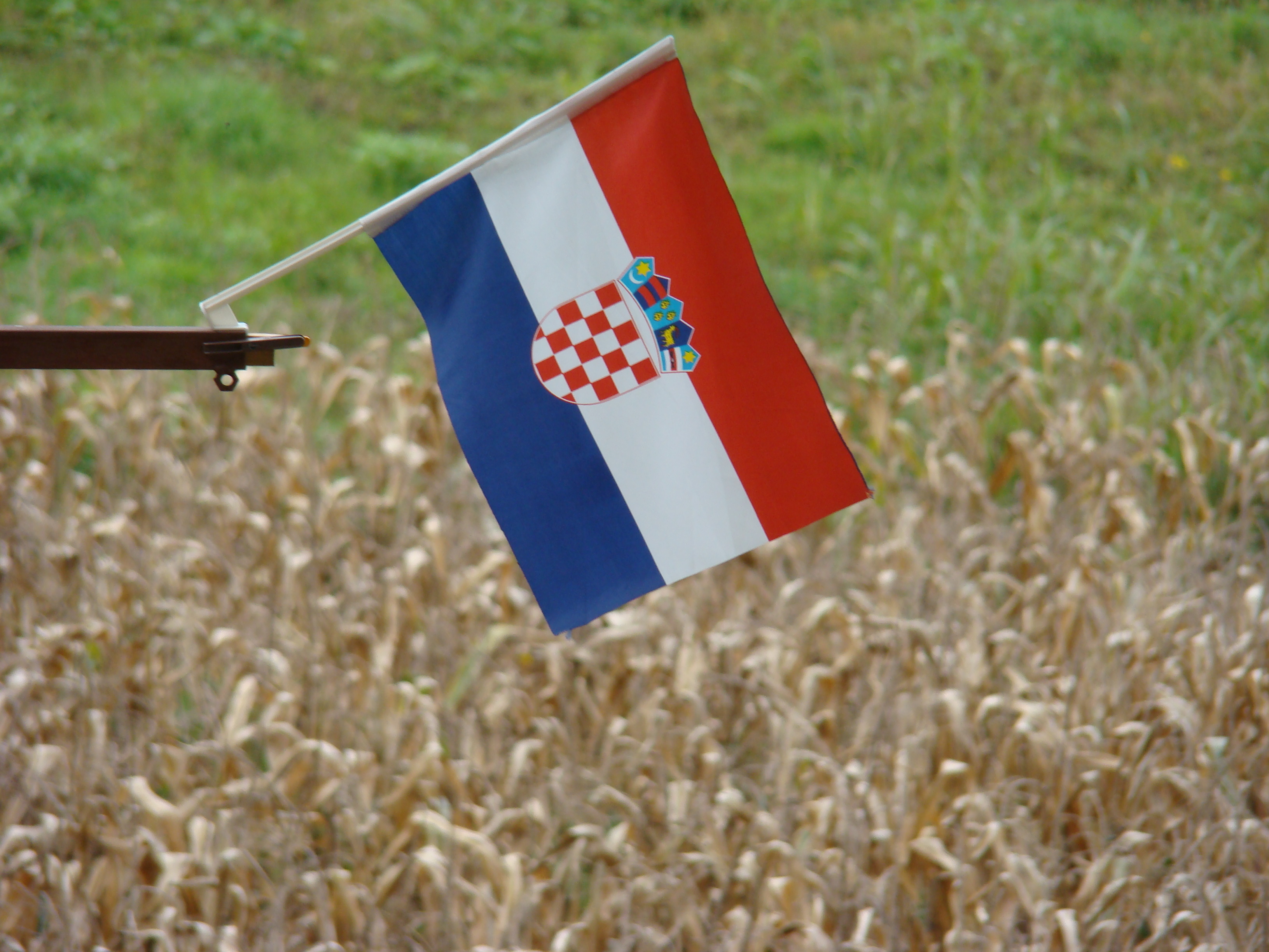 Croatia's Flag